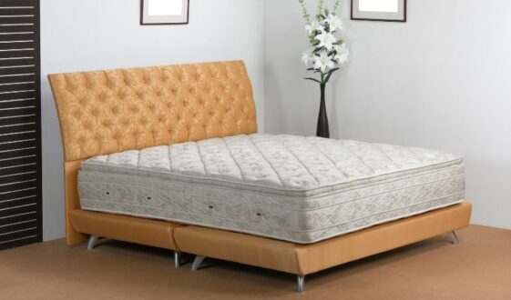 ortho Mattress