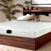 Gravia Mattress