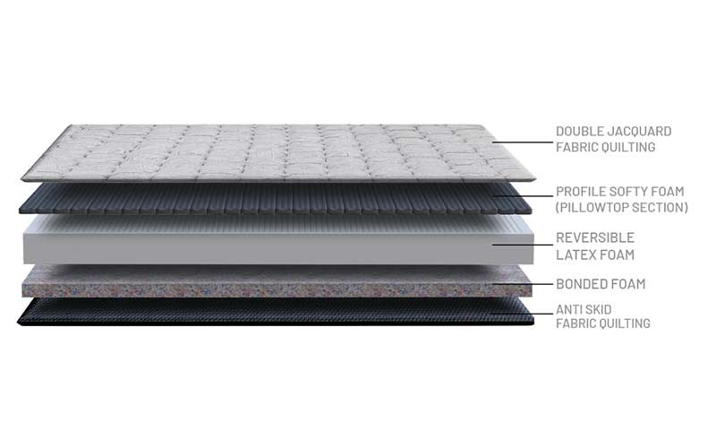 Spine Active - Image 3